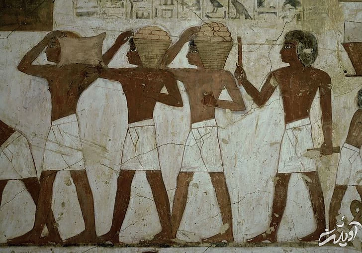 حقایقی خواندنی درباره زندگی شگفت انگیز مصریان باستان